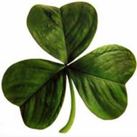 Shamrock Blend-Enhanced