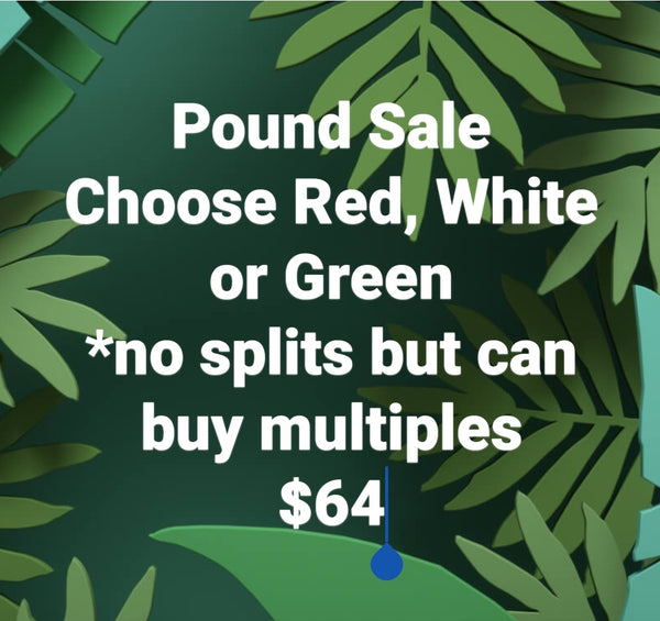 Pound Sale 16 oz